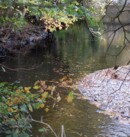 Bevan's Pool