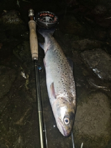 A nice fish to Rhodri Davies on the fly at night